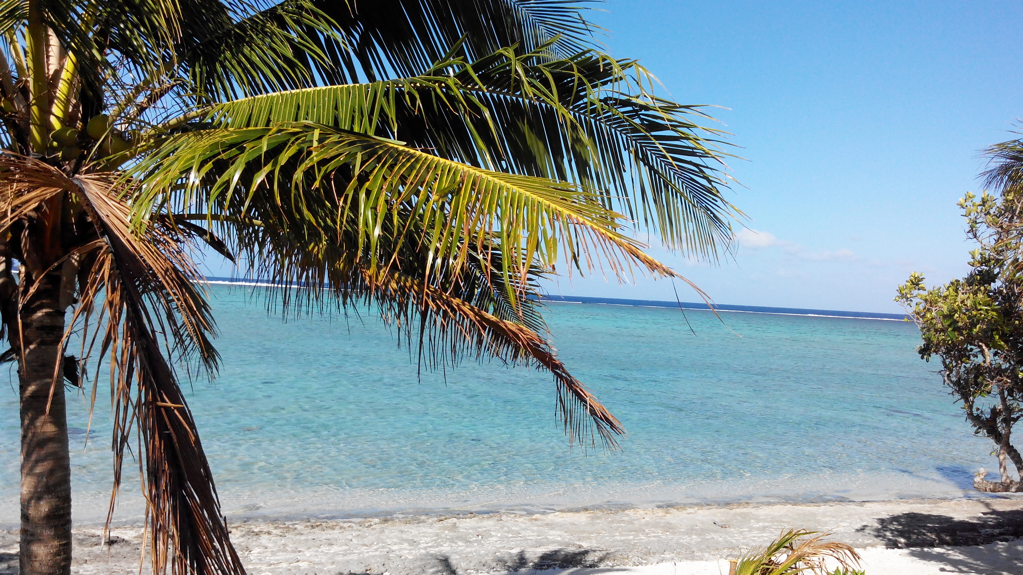 Fiji