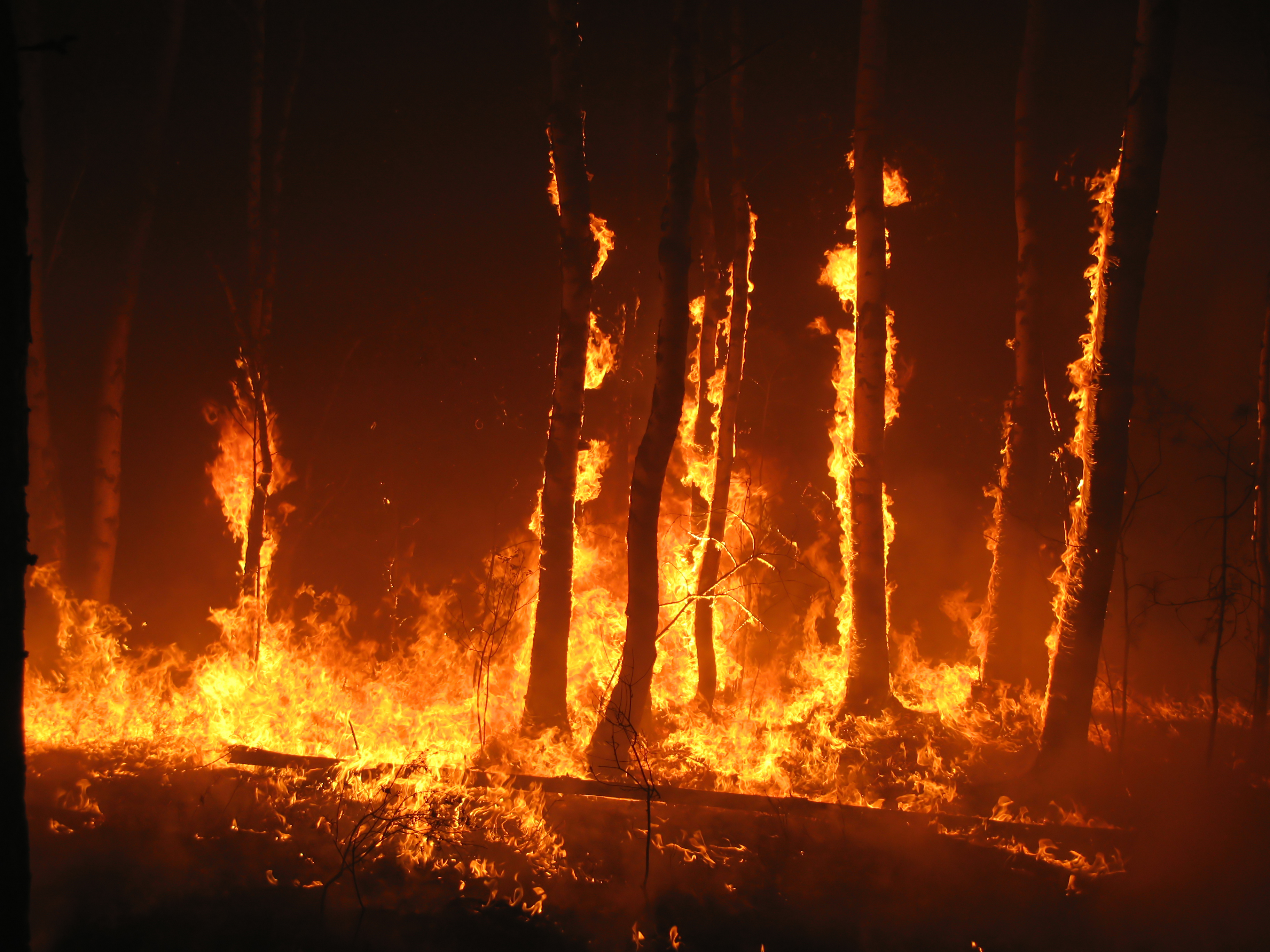 Australian Bush Fire