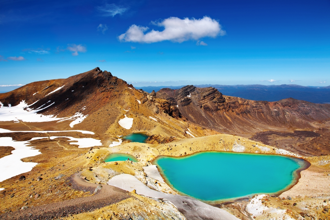Adventure in New Zealand