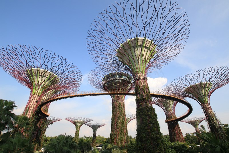 Singapore Travel Guide